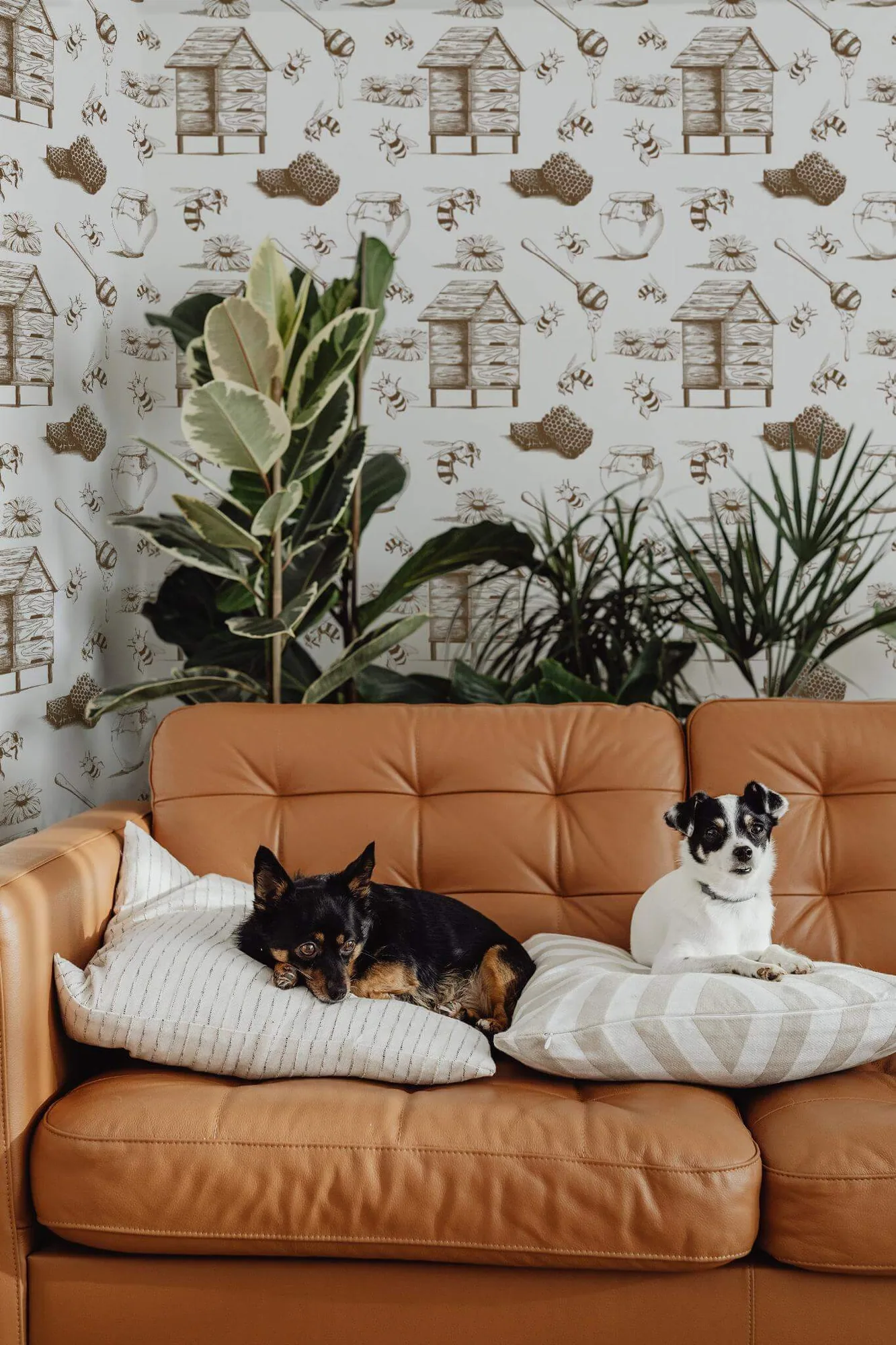 Beige honey bee wallpaper in a room setting: detailed beige bees and honeycomb studies are scattered on white