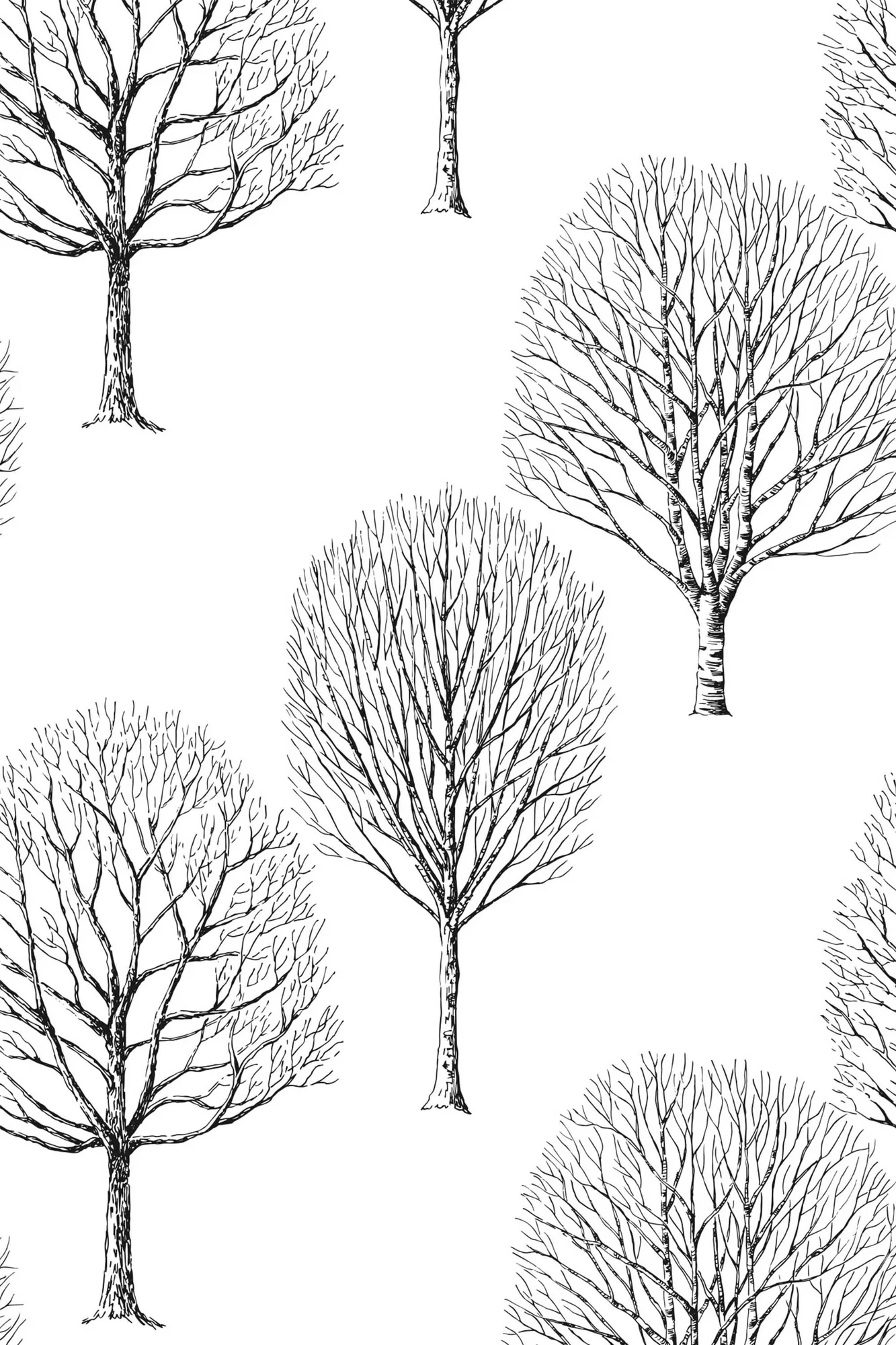 Birch Calm wallpaper pattern close-up: minimalist black-and-white birch silhouettes