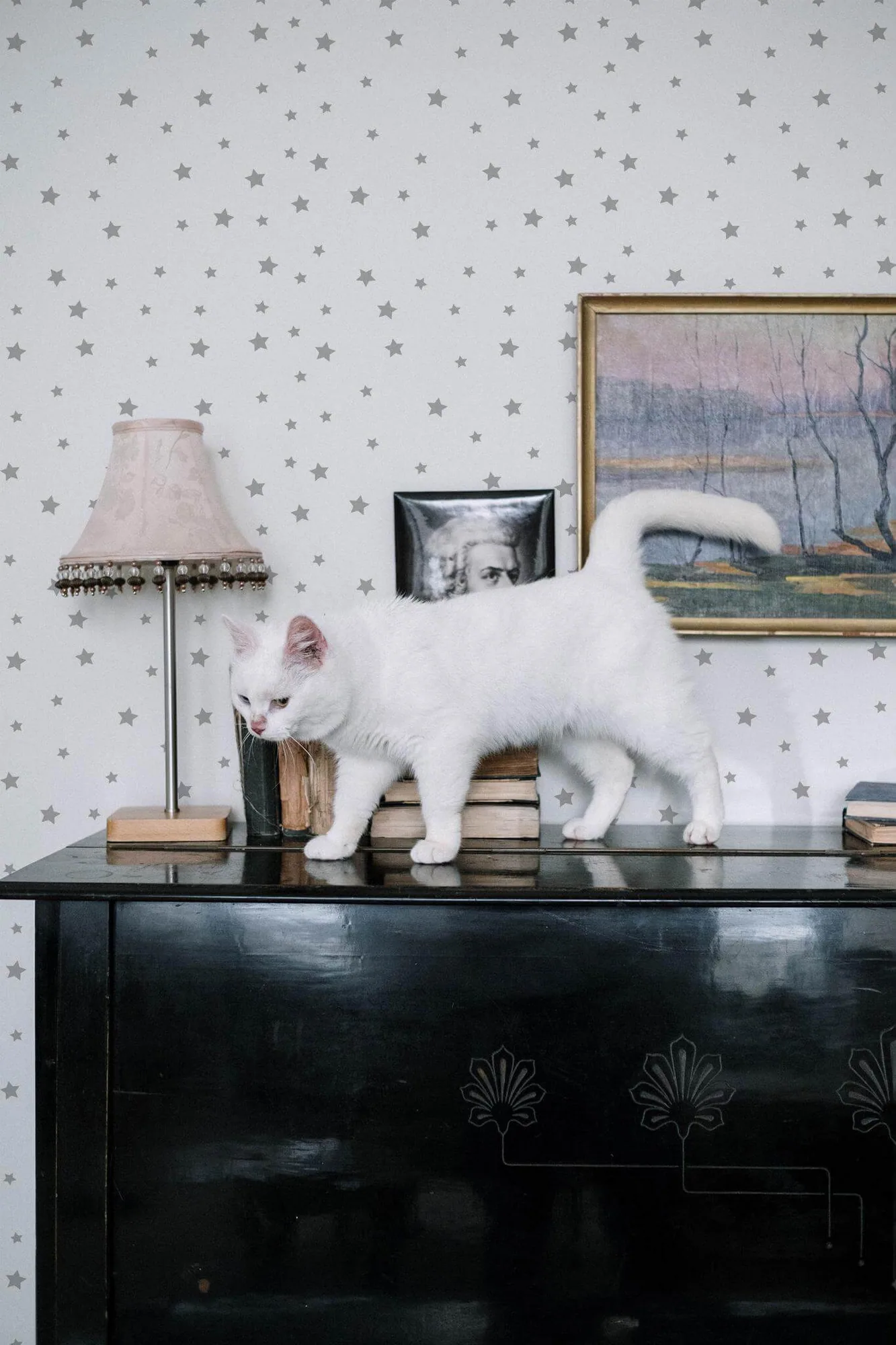Stars wallpaper in a room setting: small gray stars are scattered evenly across white